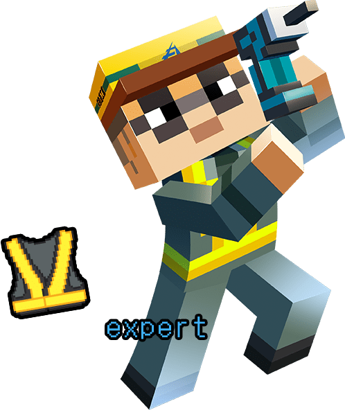 expert